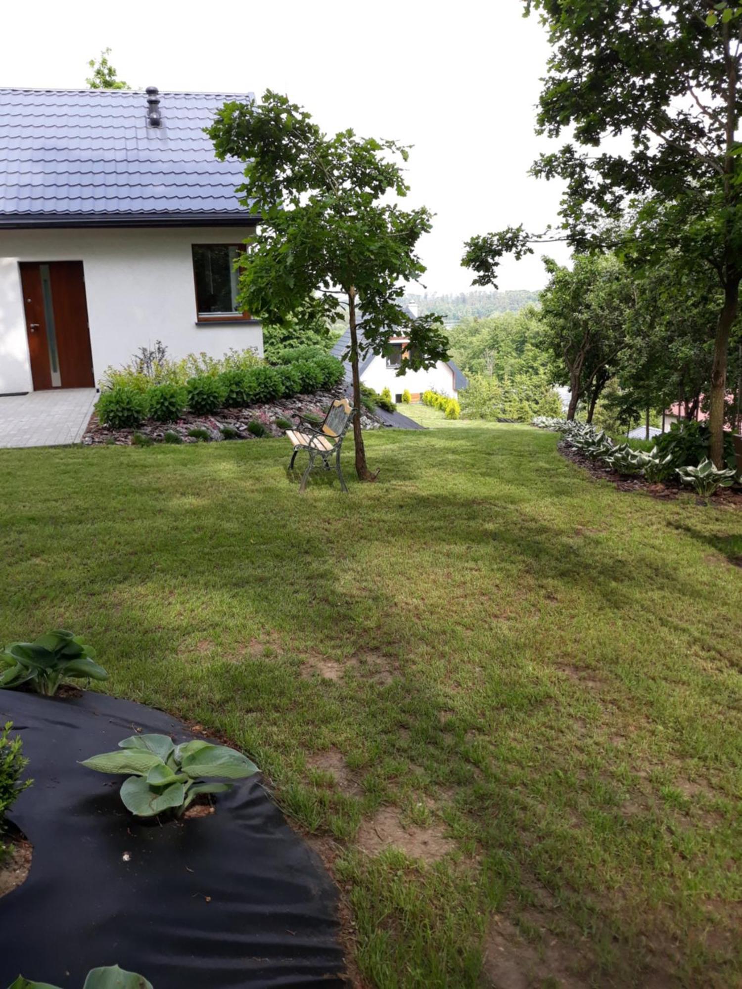 Lesny Zakatek- Domek Lipa Parchowo ภายนอก รูปภาพ
